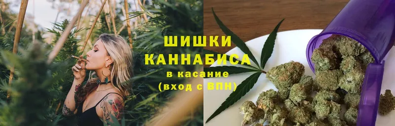 Шишки марихуана конопля  наркота  Болхов 